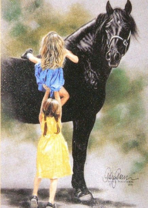 Visit The Phoenix Equestrian Centre