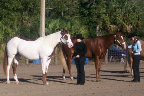 Visit Shady Oaks Ranch