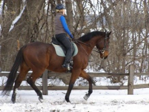 Visit Heiland Hill Training Center