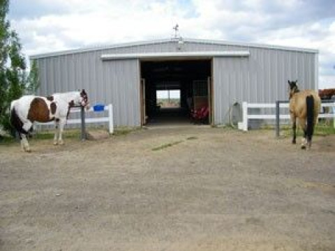 Visit Saratoga Stables