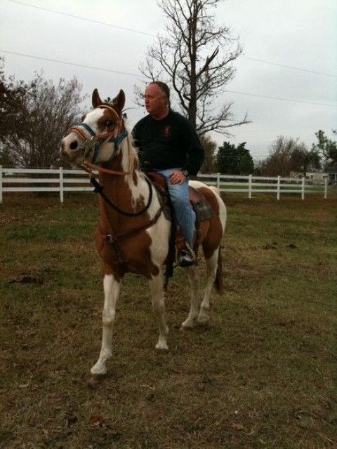 Visit Heavenly Halo Horse Ranch