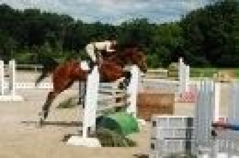 Visit Mcue Equestrians