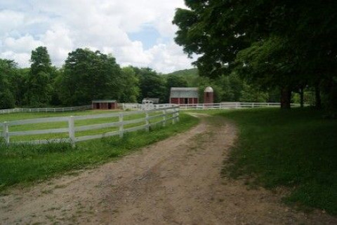 Visit Breezy Maples Farm