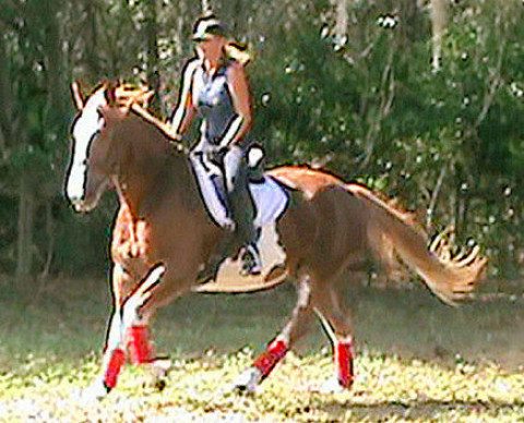 Visit Shaman Stables