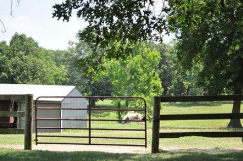 Visit Twin Oaks Stable