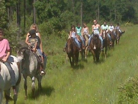 Visit Horse Creek Stables