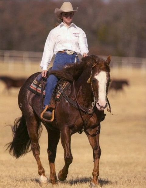 Visit CornerStone Horsemanship