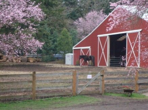 Visit Happy Trails Riding Center