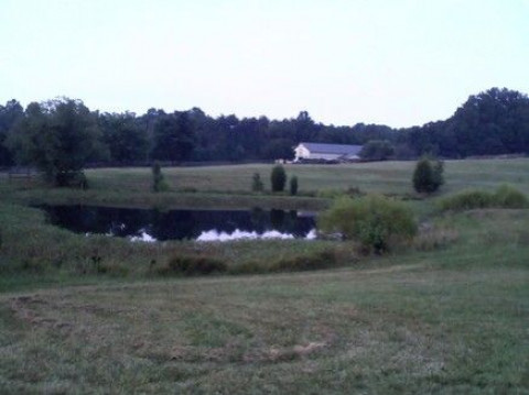Visit Winston hill Farm