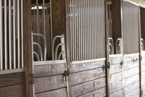 Visit Rose Hill Ponies
