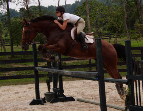 Visit Tupelo Stables