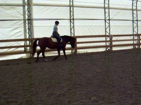 Visit Scotland Hill Stable/A Natural Horsemanship Facility