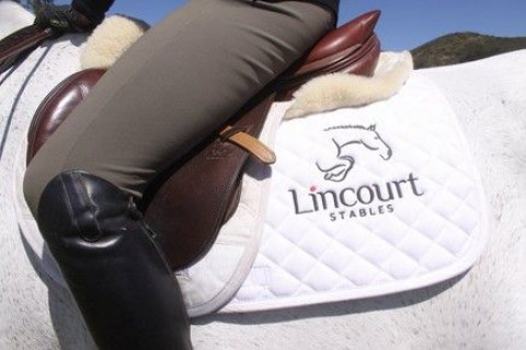 Visit Lincourt Stables