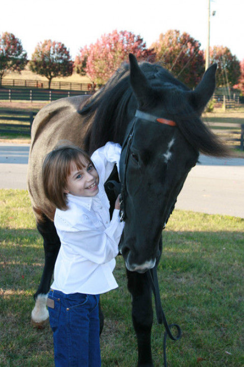 Visit RiverTenn Equestrian Centre