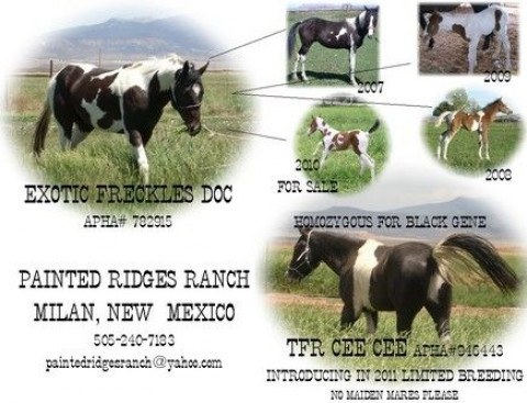 Visit Painted Ridges Ranch