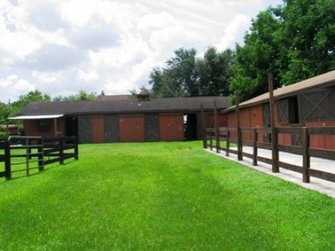 Visit Cabello Ranch Sporthorses