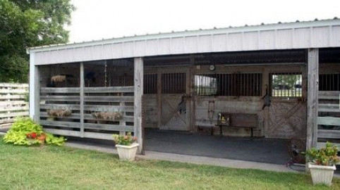 Visit Huntington Farm Hanoverians