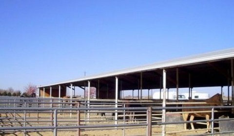 Visit D-P Roping and Riding Stables
