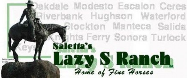 Visit Lazy S Ranch