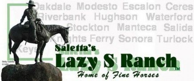 Horse Boarding In Modesto California Stanislaus County
