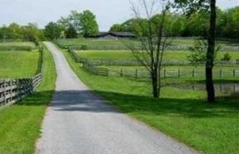 Visit Lexy Hall Stables