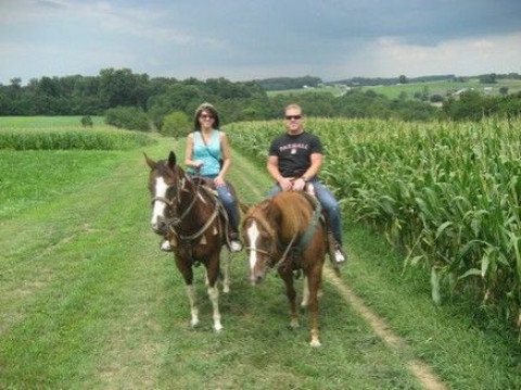 Visit Buffalo Springs Horse Farm