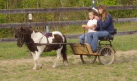 Visit Gloria Winslow,  Paradise Ridge Ranch