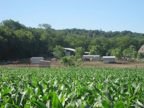 Visit Painted Hollow Farm