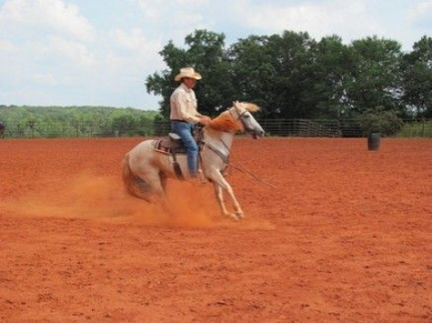 Visit Ed Huie Horse Training