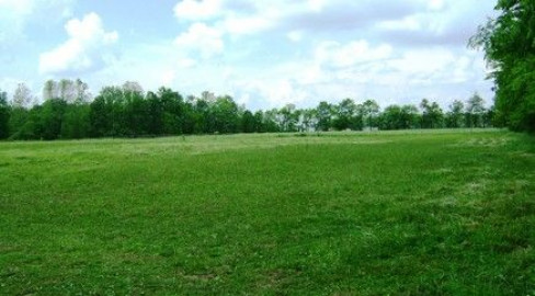 Visit 5 Stars Ranch