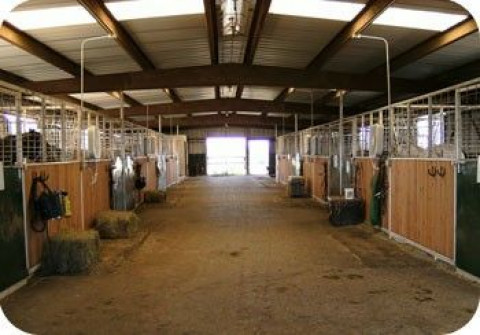 Visit Rocking E Equine Facility