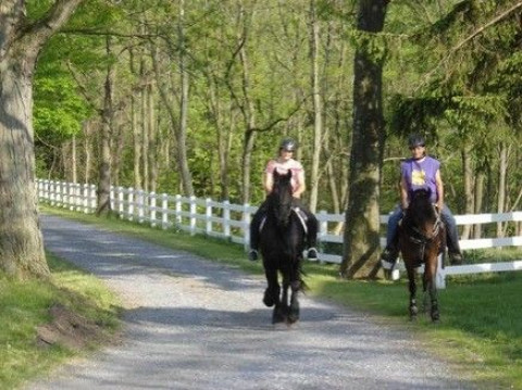 Visit Charming Creek Farm