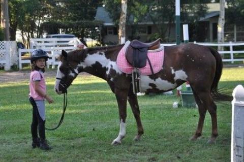 Visit Morton Equestrian Center