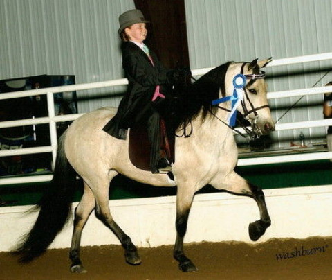Visit Sunset Ridge Ranch