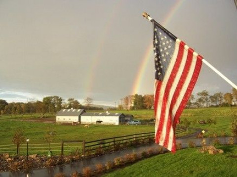 Visit Stone Mountain Stables