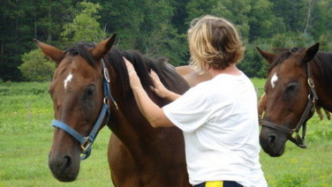 Visit Spruce Hollow Farm - Walton, NY