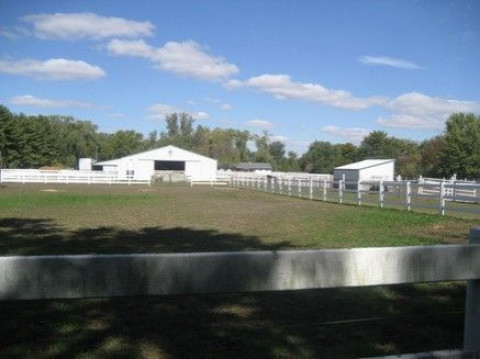 Visit freeman show horses