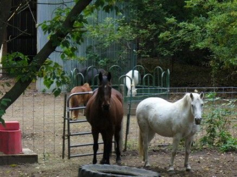 Visit thekfarm