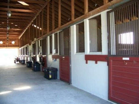 Visit Twin Gaits Stables