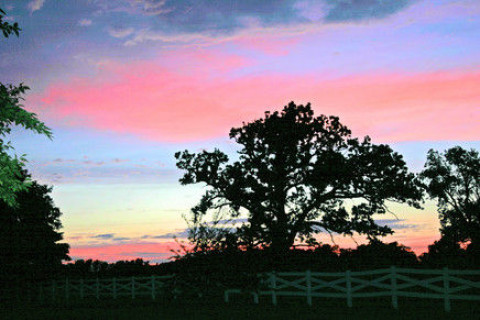 Visit Wellgreen Farm