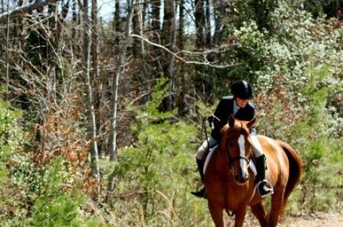 Visit Kendra Porter, Blue Ridge Equestrian Farm