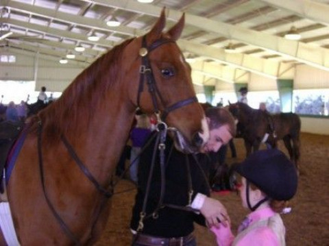 Visit REISER STABLES