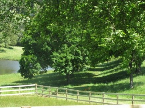 Visit Brinklow Stables