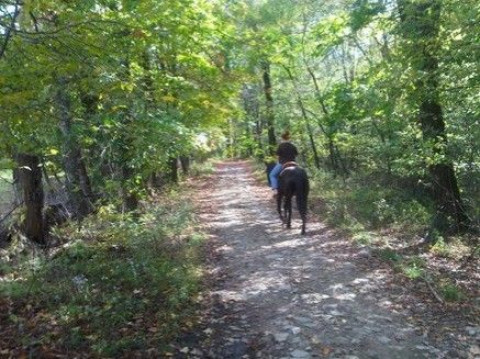 Visit Fern Mountain Equestrian Center