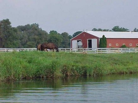 Visit Stoney Run Farm