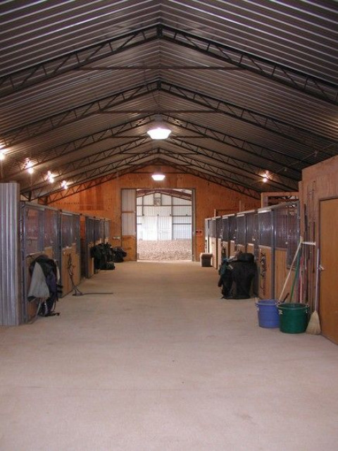 Visit Horses for Healing