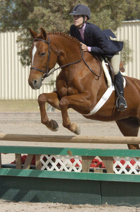 Rosemary Gordon Panuco - Riding Instructor in Tucson, Arizona