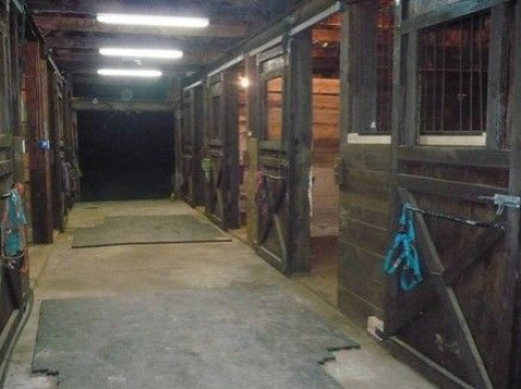 Visit Royal Brittany Stables