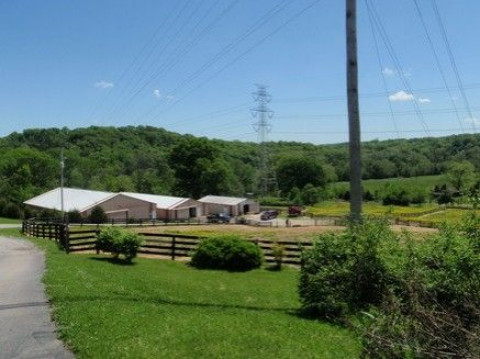 Visit Rain Tree Stables