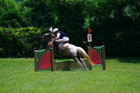 Visit THE BADEN BARN